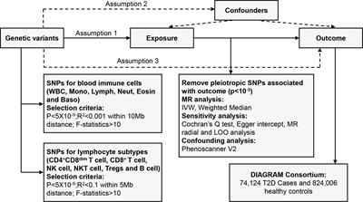 Causal relationship between circulating immune cells and the risk of type 2 diabetes: a Mendelian randomization study